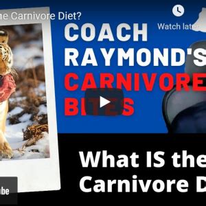 Focus on ruminant meats 2. . Coach raymond carnivore priming